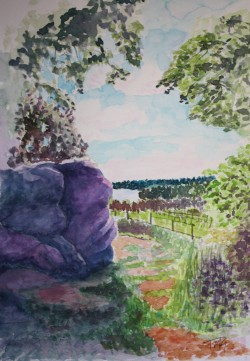 Boulders and Vines Watercolour painting of Innaccessible Boulder, Stone Farm Rocks, Weirwood Reservoir and Kingscote Vineyard West Sussex Ashdown Forest summer purple and green climbing wine sailing swimming