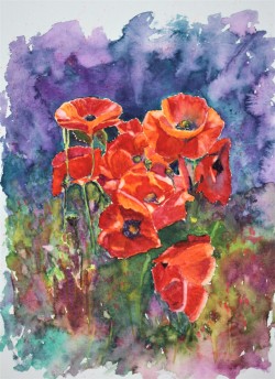 Poppy Fest watercolour of red poppy bunch in colourful flower background purple and pink