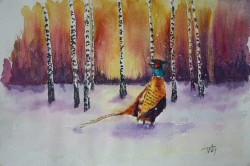 They’re Late original watercolour of pheasant in winter sunset olourful Pheasant framed by silver birches snow winter purple gold yellow