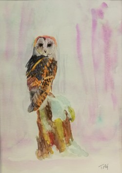 Twit Who twit who original watercolour winter scene with single tawny owl braving snowfall on tree stump animal bird forest