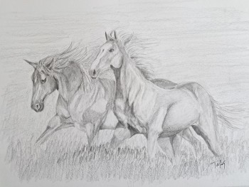 Flowing Free original drawing of horses running free with flowing mains and tails