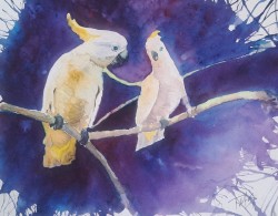 Squawk Boxing Original watercolour of two Yellow Crested Cockatoos having a good squawk purple yellow expressionist abstract