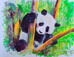 Pandaring