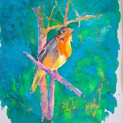 Cocky Robin